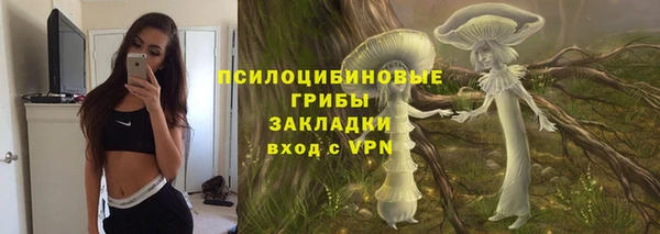apvp Арсеньев