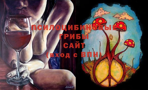apvp Арсеньев