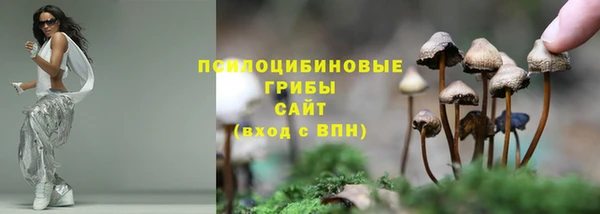 apvp Арсеньев
