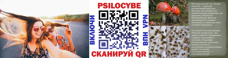 Галлюциногенные грибы Cubensis  Рыльск 
